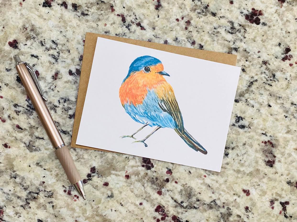 Assorted Bird Note Cards (Set of 12)
