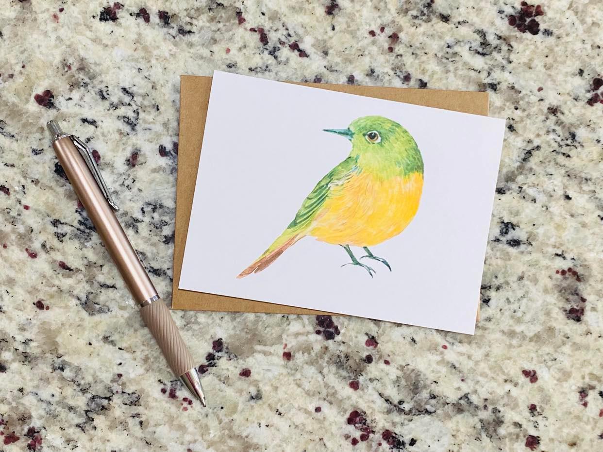 Assorted Bird Note Cards (Set of 12)