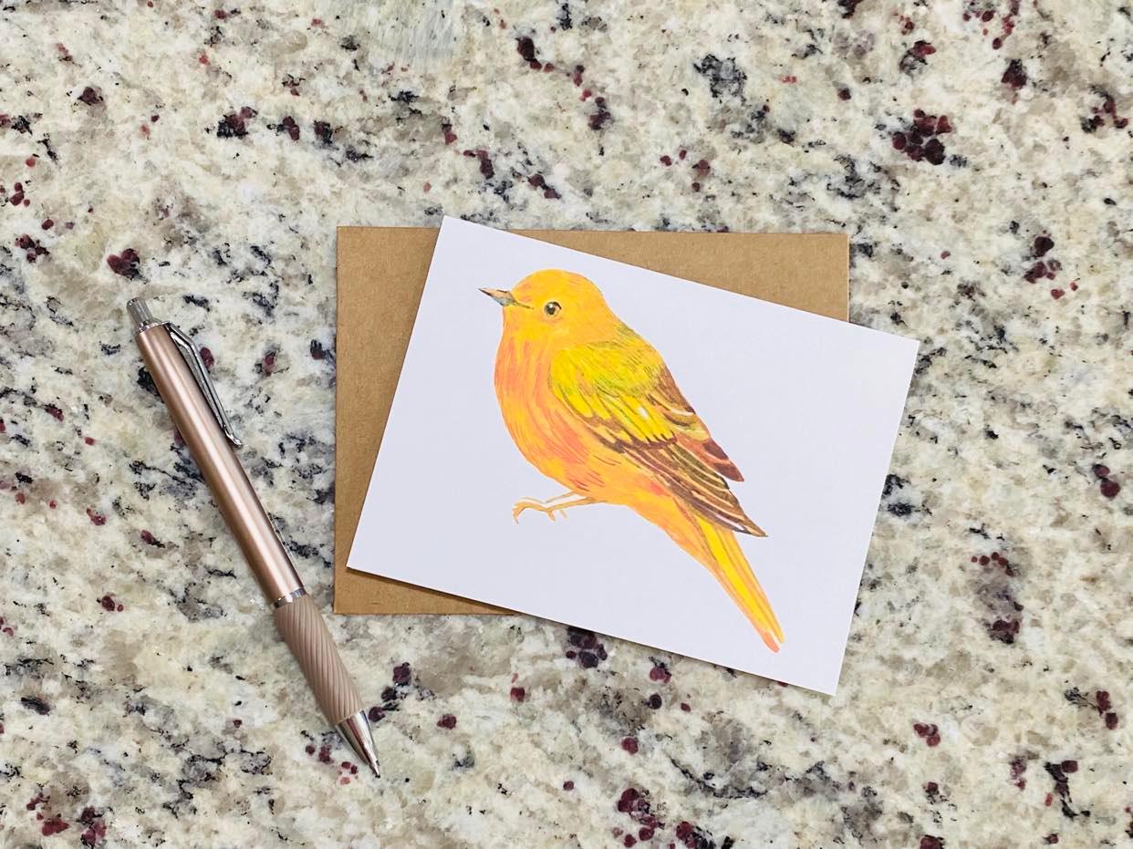Assorted Bird Note Cards (Set of 12)