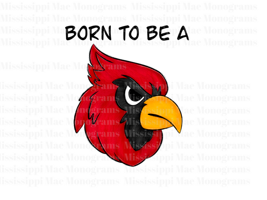 Born to be a Cardinal