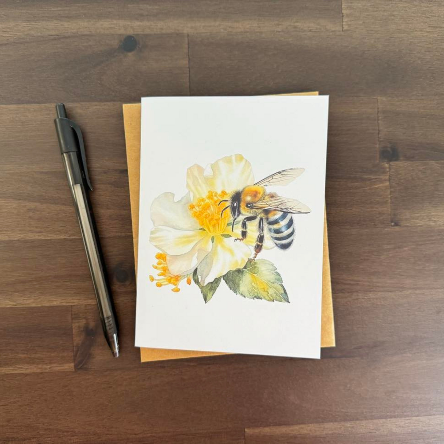 Assorted Bee Note Cards (Set of 12)