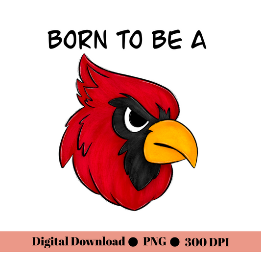 Born to be a Cardinal