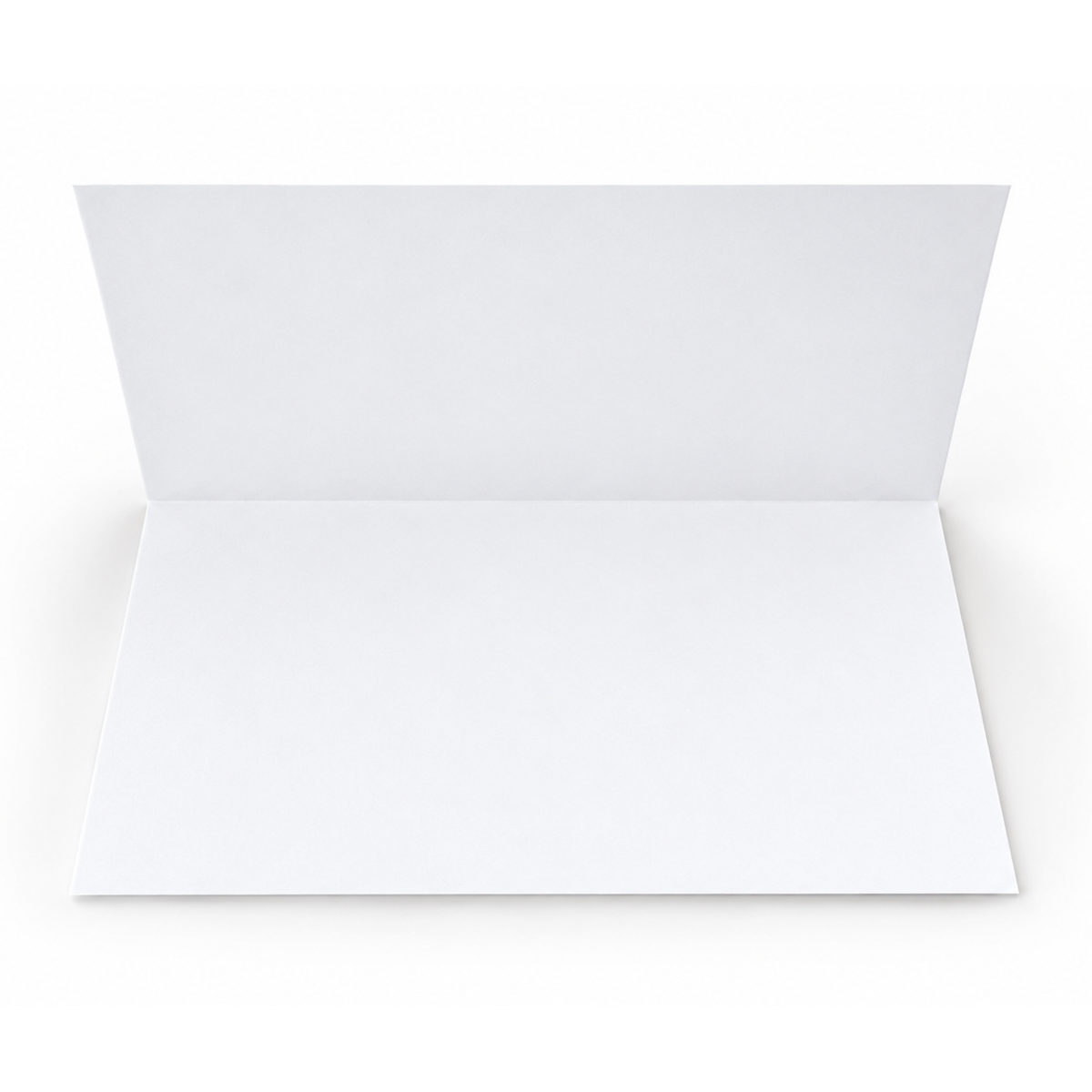 Joy Note Cards (Set of 12)