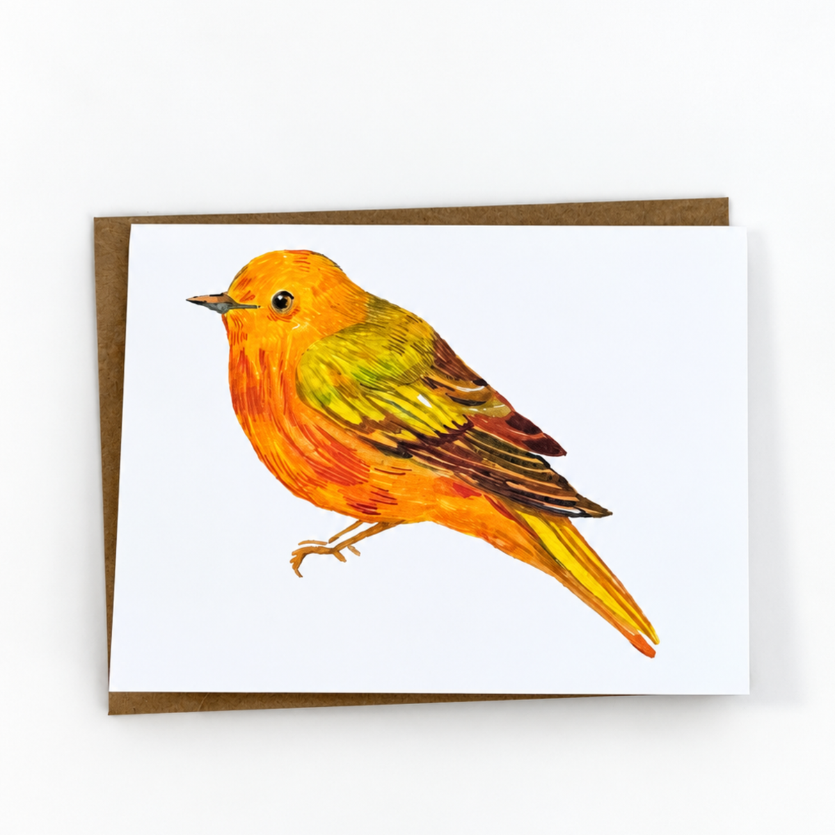 Assorted Bird Note Cards (Set of 12)